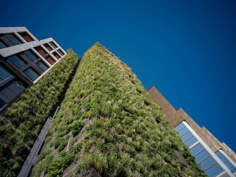 Flere deler av fasaden er dekket av planter og grønne vekster for å tilrettelegge for biologisk mangfold i byen
