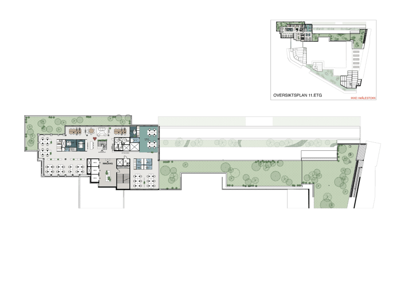 11. etg.